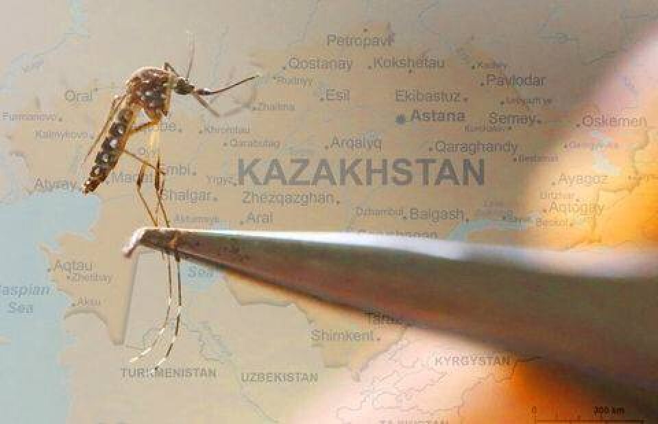 Иллюстрация informburo.kz