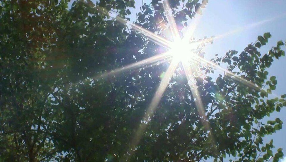 Синоптики рассказали, какой будет погода в четверг, 17 августа