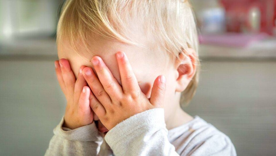 Фото shutterstock.com