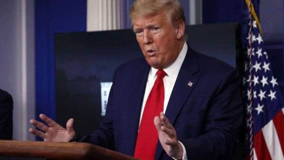 В США суд приостановил запрет Трампа на выдачу рабочих виз специалистам