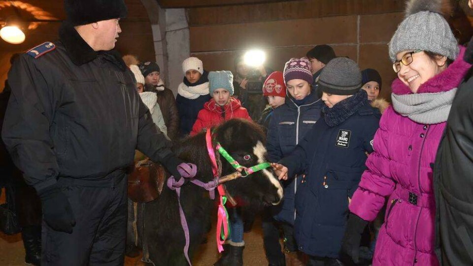 Обещанных акимом СКО пони получили особенные дети перед Новым годом