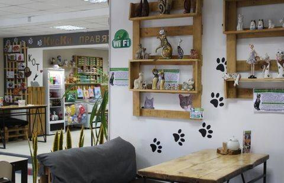 Фото с сайта tumba.kz
