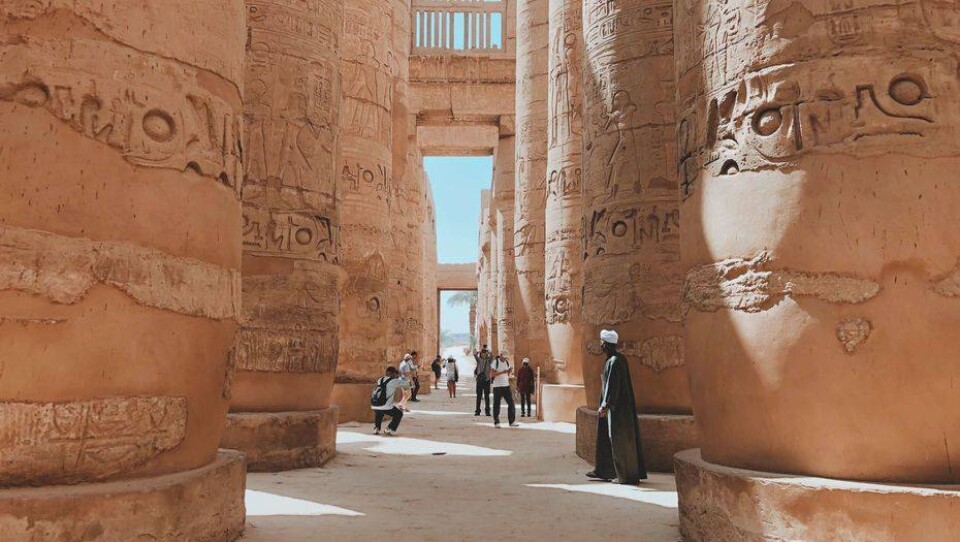 Photo by Ali Hegazy on Unsplash