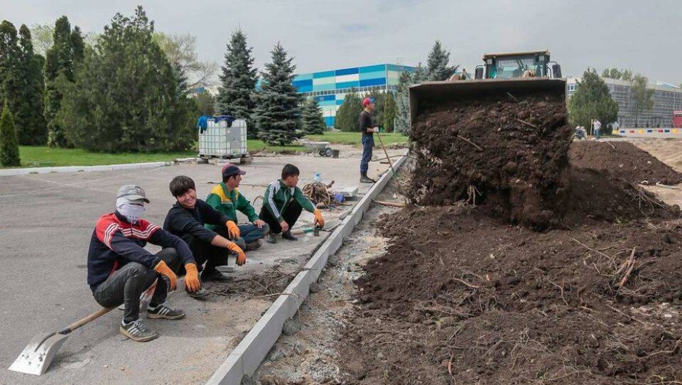 Фото Алмаза Толеке