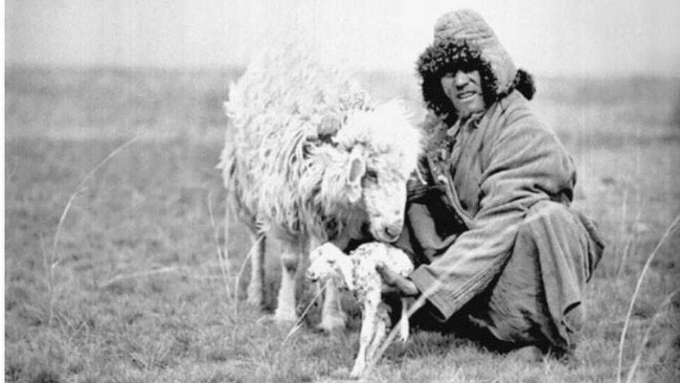 Иллюстрация из книги Сары Кэмерон "Голодная степь: голод, насилие и создание Советского Казахстана"