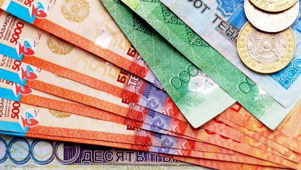Что нужно для сохранения пенсионной системы, рассказала зампред Нацбанка