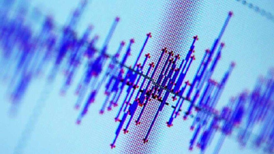 Сейсмологи зафиксировали землетрясение в Алматинской области