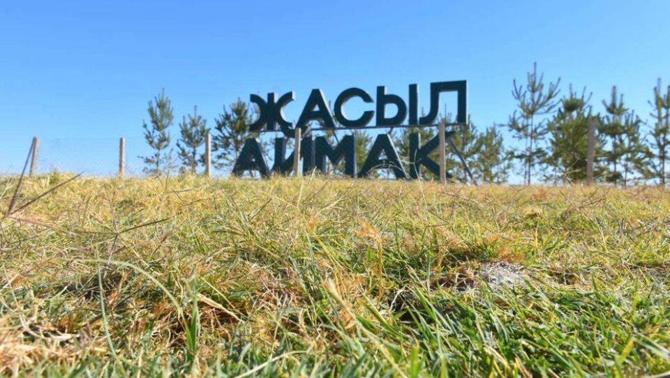 Фото акимата Туркестанской области