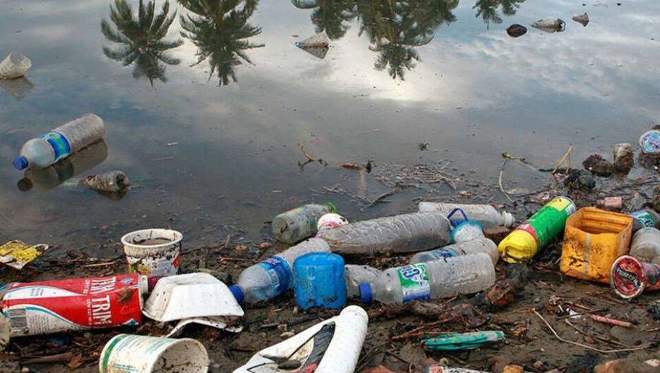 Учёные: Мусора в Чёрном море вдвое больше, чем в Средиземном