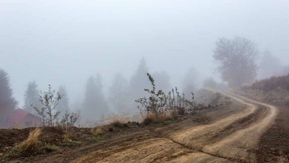 Прогноз погоды на 25 октября: туман, гололёд, усиление ветра ожидаются по всему Казахстану, кроме юга