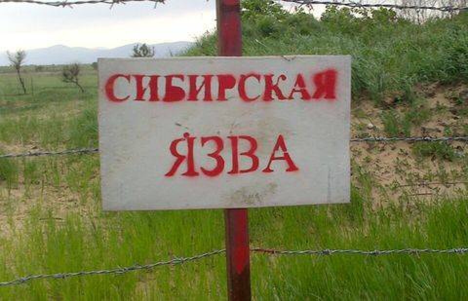 Фото с сайта doktorbel.livejournal.com