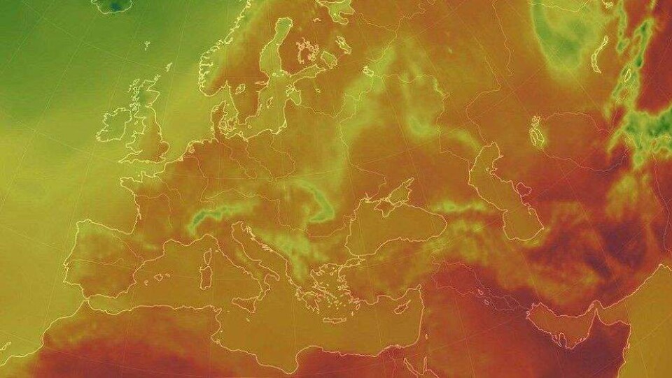 Рекордную жару лета 2018 года показали на интерактивном глобусе