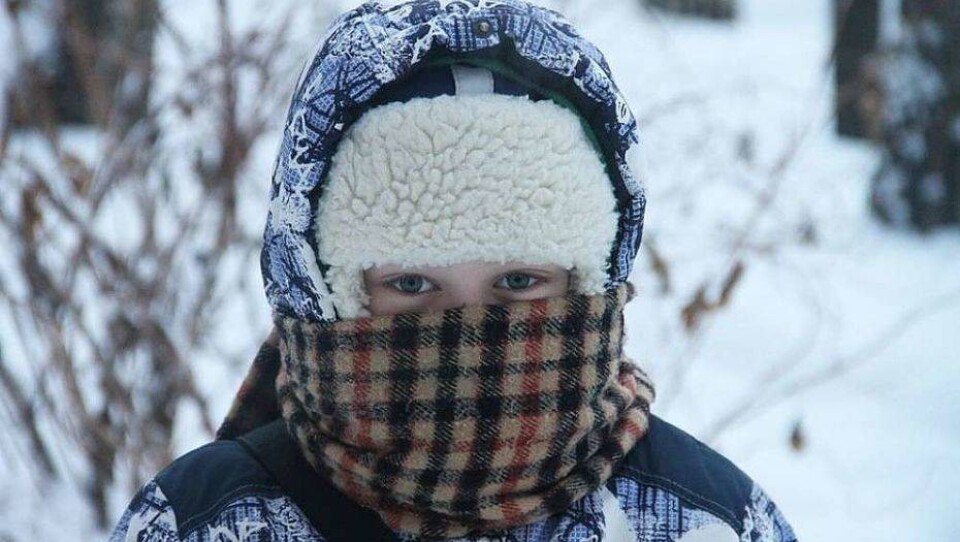 В Павлодаре, Костанае и ВКО отменили занятия для учеников первой смены