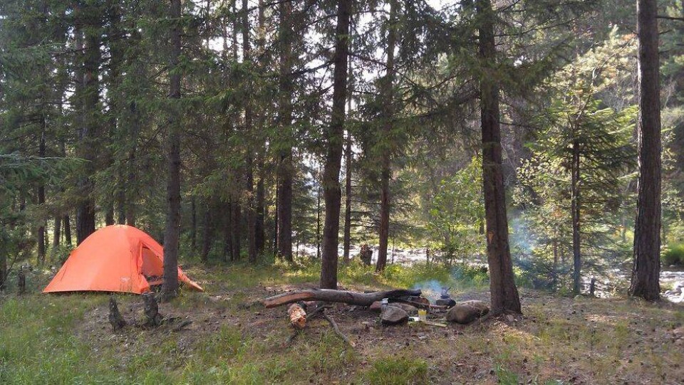 Фото с сайта envrm.github.io