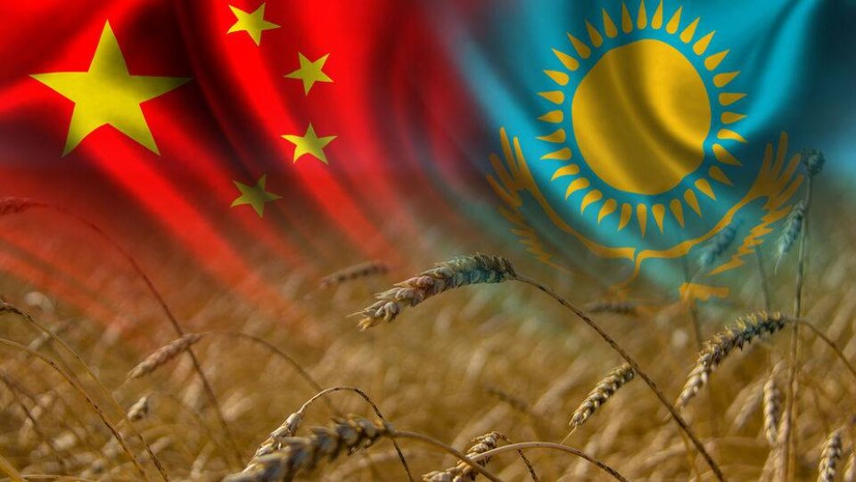 Welcome, China: какие китайские компании будут работать на казахстанской земле