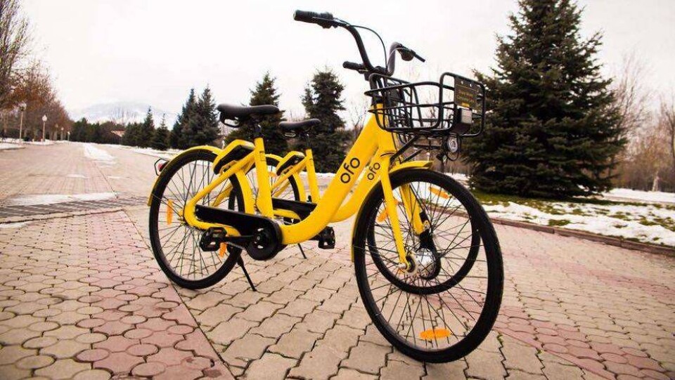 Китайская компания Ofo завезёт в Казахстан ещё 15 тысяч велосипедов 