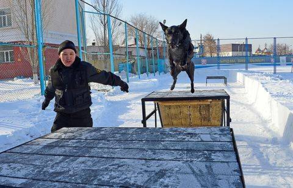 Фото с сайта mod.gov.kz