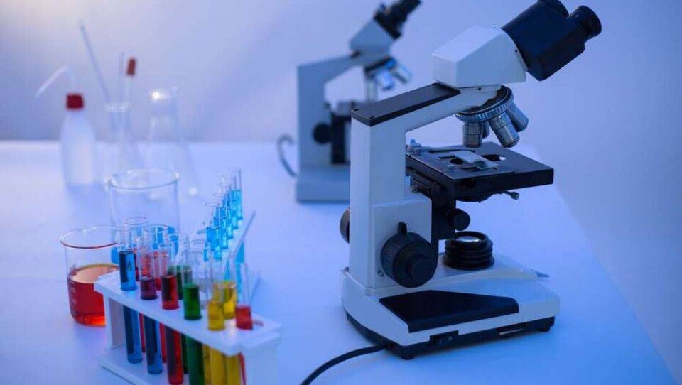 Число заражённых коронавирусом в Казахстане превысило 12 000 человек