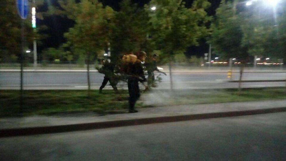 В Астане начали борьбу с комарами, жителей просят закрывать окна