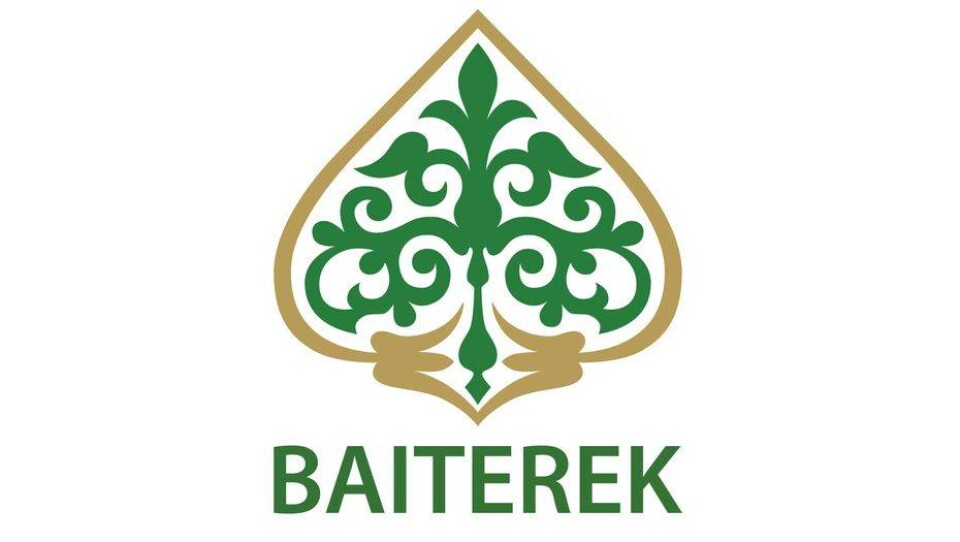 Холдинг "Байтерек" запустил цифровую витрину услуг – информационную систему Digital Baiterek