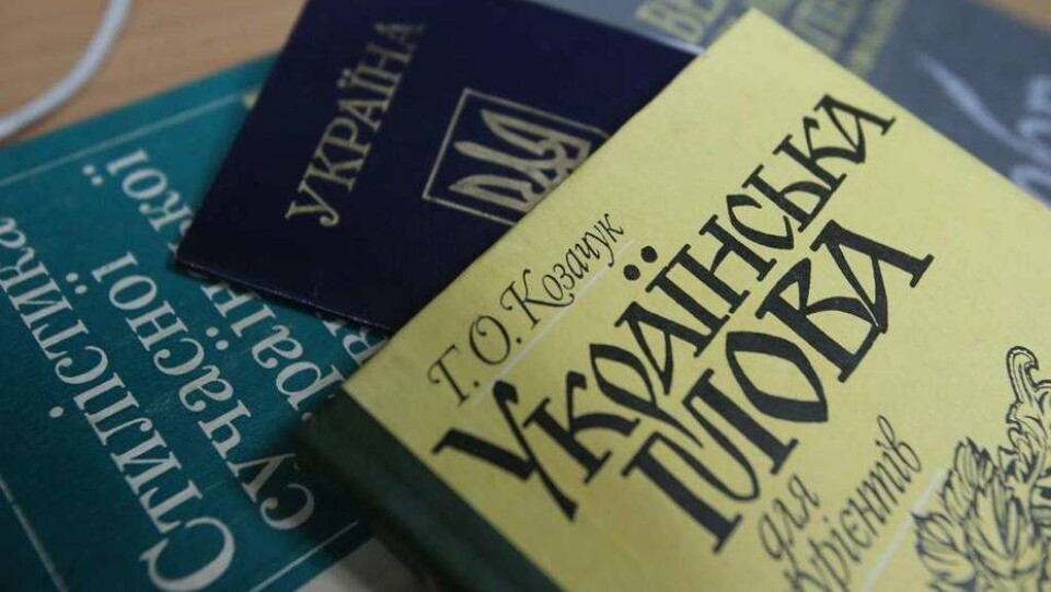 Заместитель генсека ООН: Некоторые положения закона о госязыке в Украине вызывают озабоченность