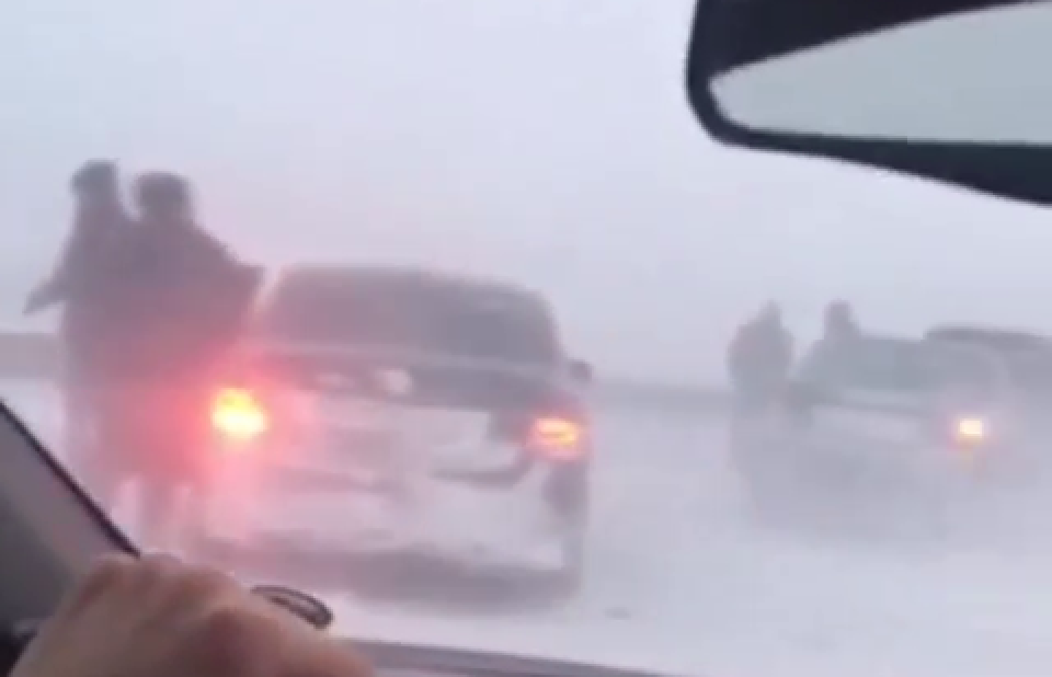 Фото скриншот с видео Instagram