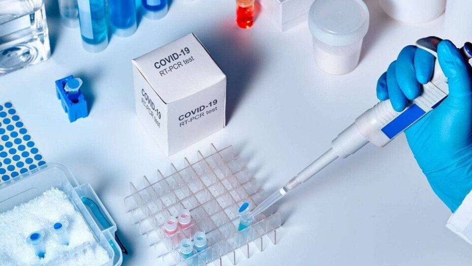226 пассажиров поездов без результатов теста на Covid-19 не смогли уехать из ВКО