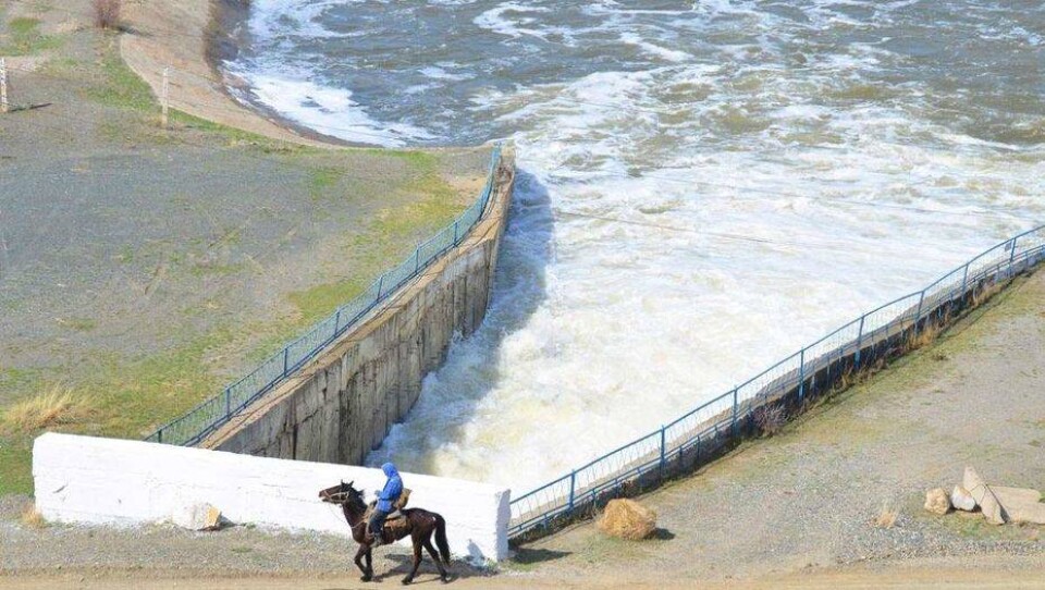altai.kz