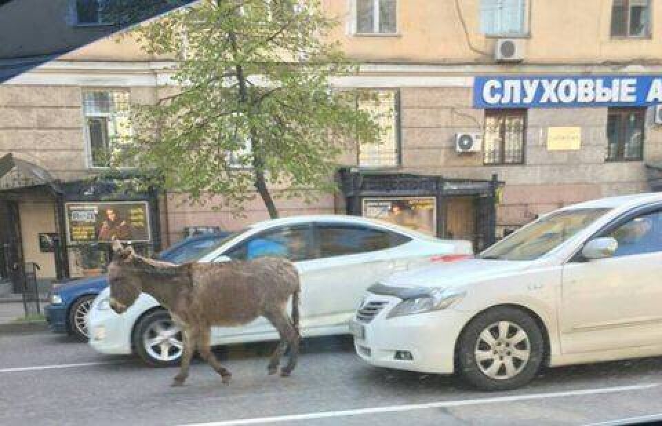 Фото Кайрата Кудайбергена c Facebook
