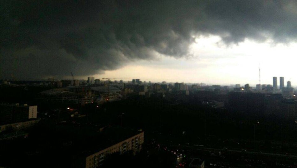 Четыре человека погибли из-за шторма в московском регионе