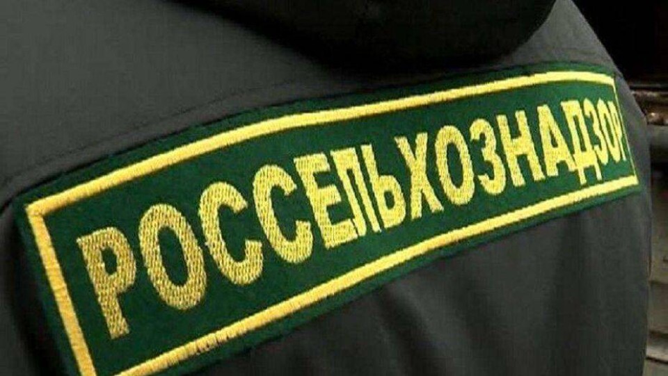 Ряду российских предприятий временно запретили экспорт продукции в страны ЕАЭС