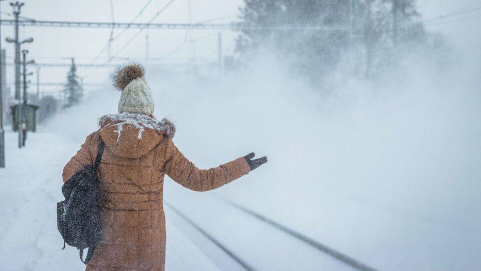 Фото с сайта shutterstock.com