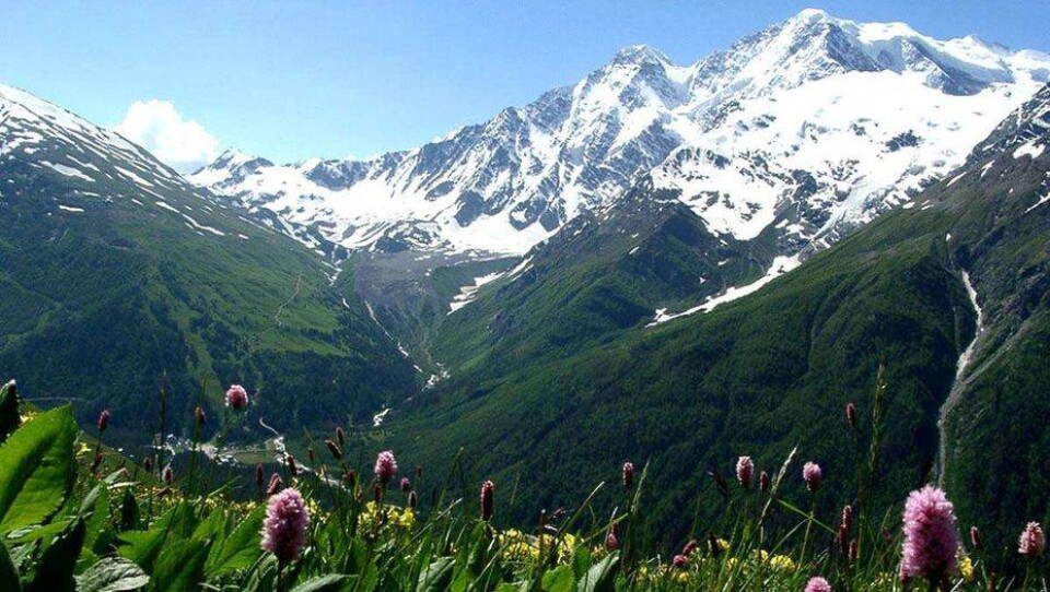 altai.kz