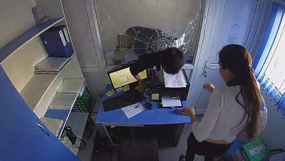 Дерзкое нападение на киоск денежных займов в Темиртау попало на камеры наблюдения