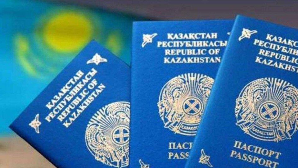 За упрощение получения гражданства РК этническими казахами выступило Минтруда