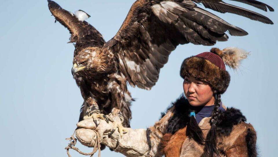 Сурет toursmongolia.com сайтынан алынды
