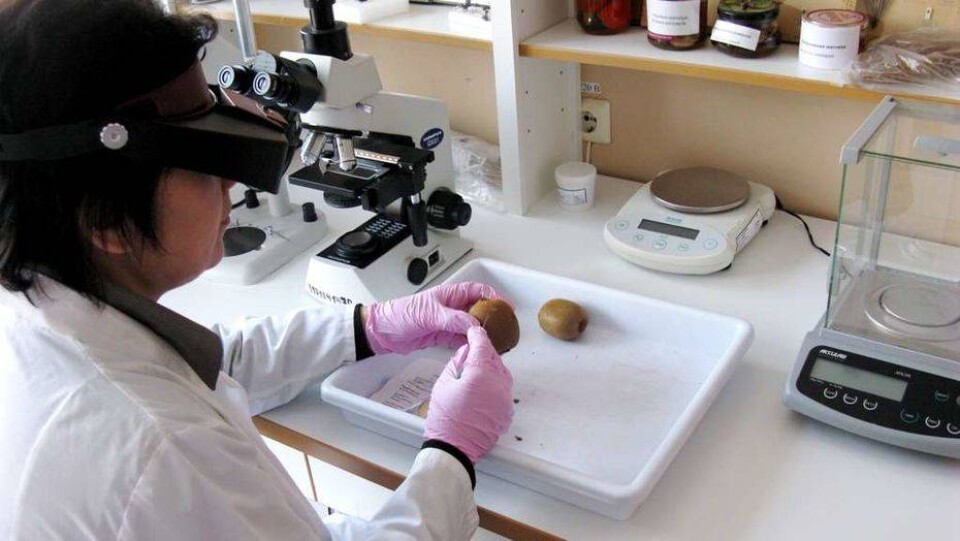 За месяц выявлено 157 фактов нарушений при ввозе кыргызской продукции в РК