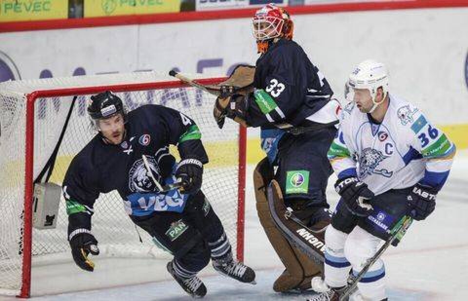 Фото с сайта khl.ru