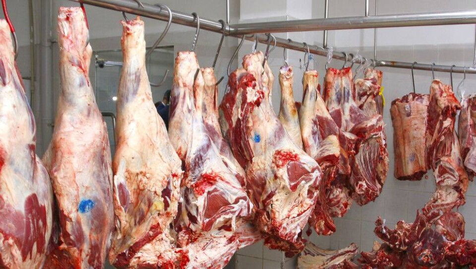 Китай разрешил Казахстану поставки мяса