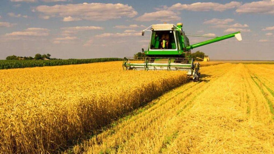 Дать льготы фермерам, снабжающим Астану продуктами, предложило Правительство 