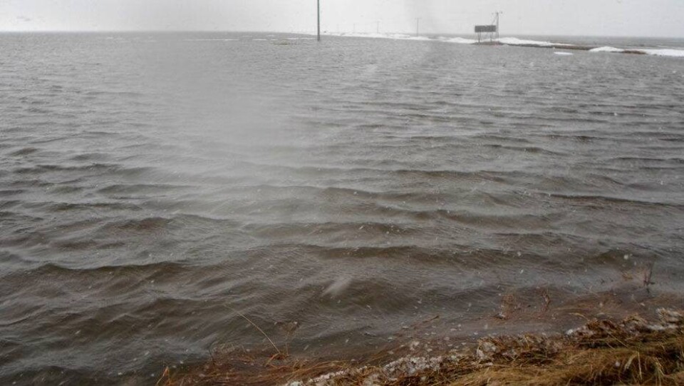 Уровень воды в реке Боралдай ЮКО почти достиг критической отметки
