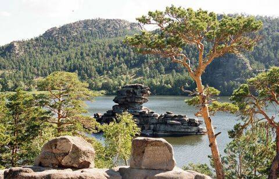 Фото borovoe-tour.kz