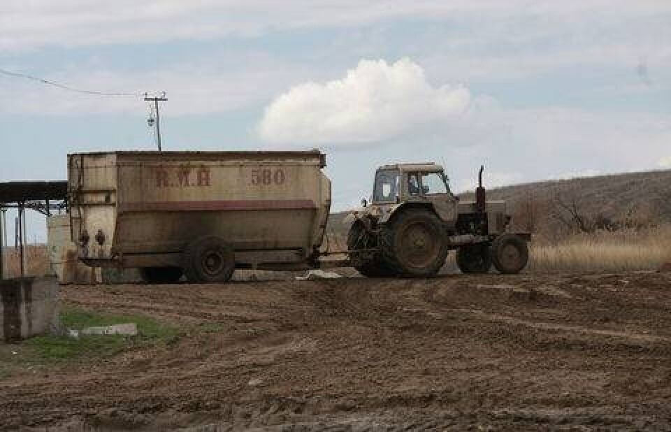 Фото Олега Спивака