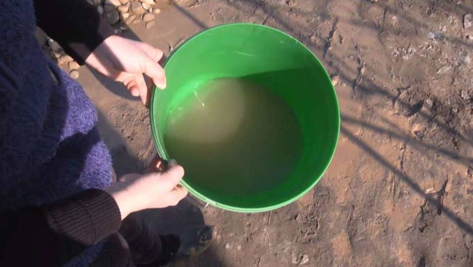 Жители микрорайона в Шымкенте живут без водоснабжения, пользуясь водой из озера