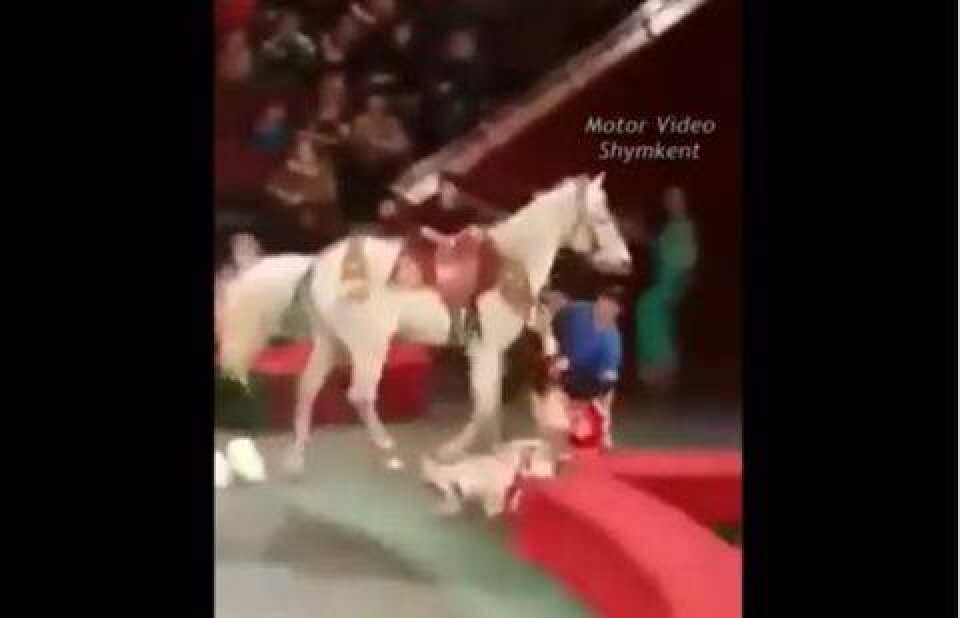 Скриншот с видео