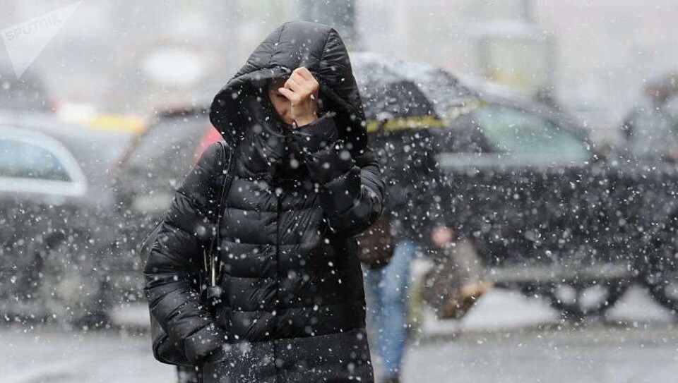 Прогноз погоды на 5 февраля: осадки и сильный ветер ожидаются почти во всех областях