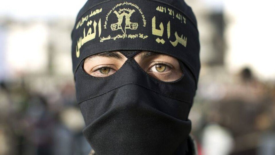 haaretz.com