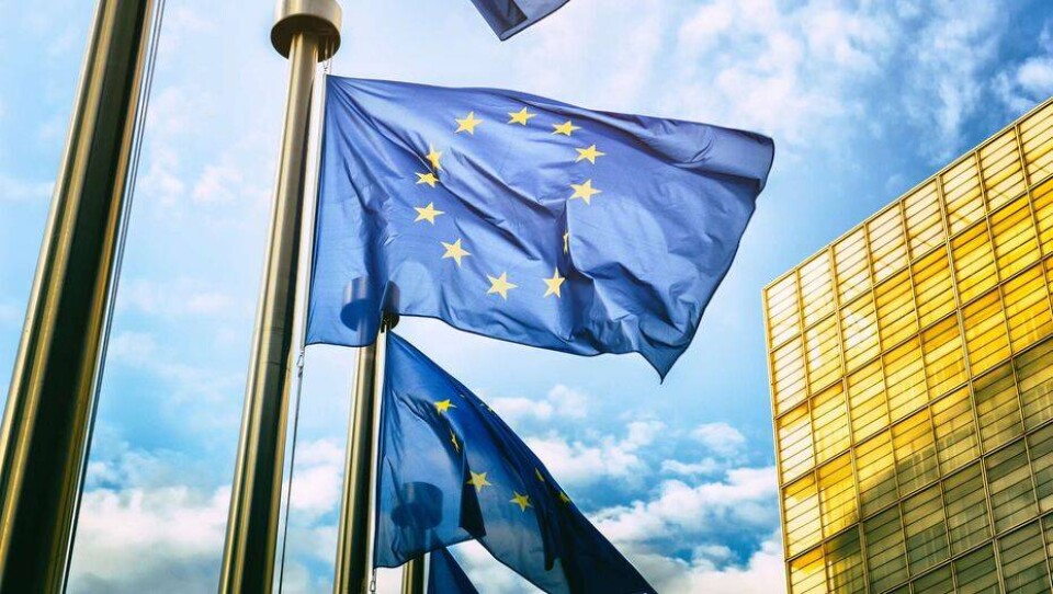 Евросоюз решил ввести санкции против Беларуси