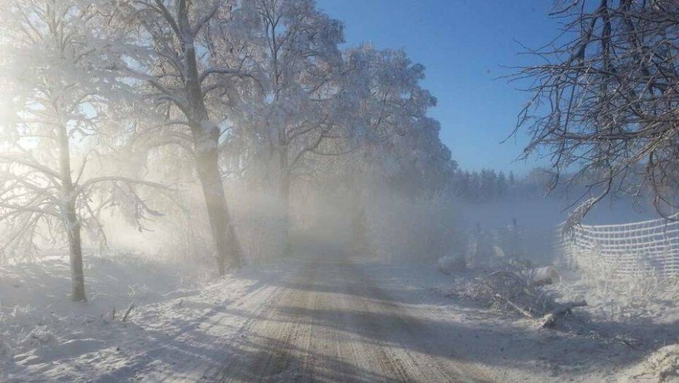 Фото с сайта ivbg.ru