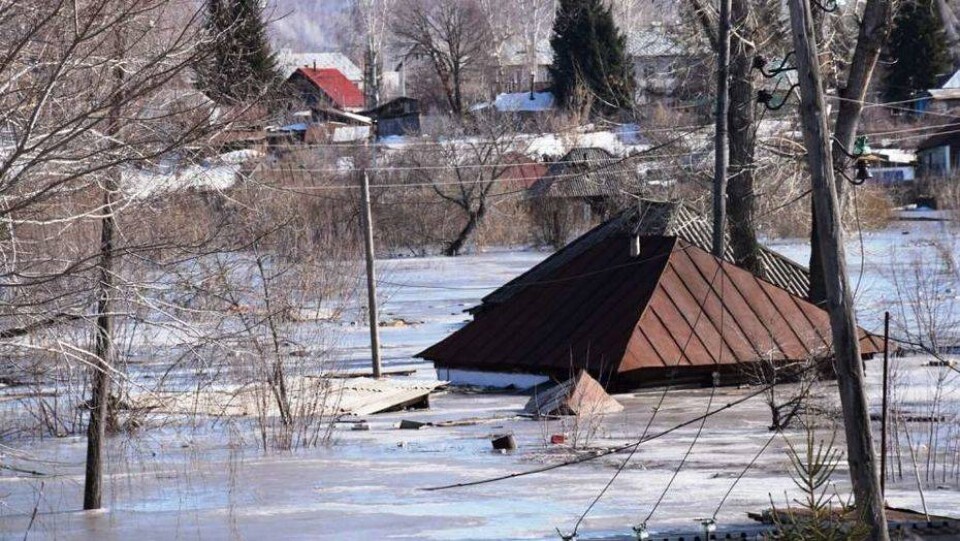 В Зыряновске вода затопила дома по крыши